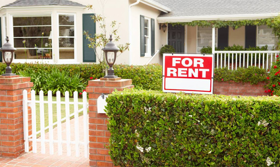 Simple Ways To Manage Your Rental Property In Auckland